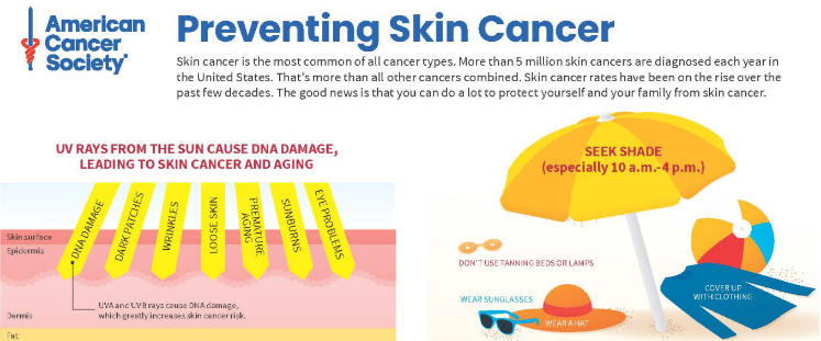 Top section of the "Preventing Skin Cancer" infographic. It includes an intro paragraph and two graphics described in the article body